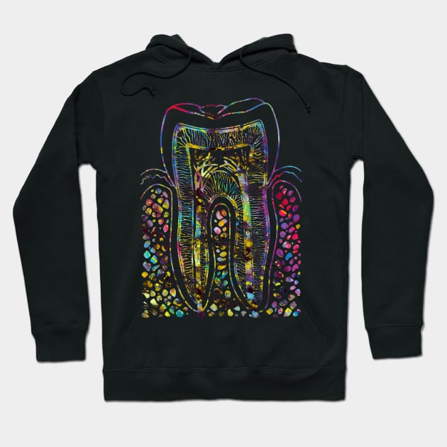 Tooth Structure Hoodie by erzebeth